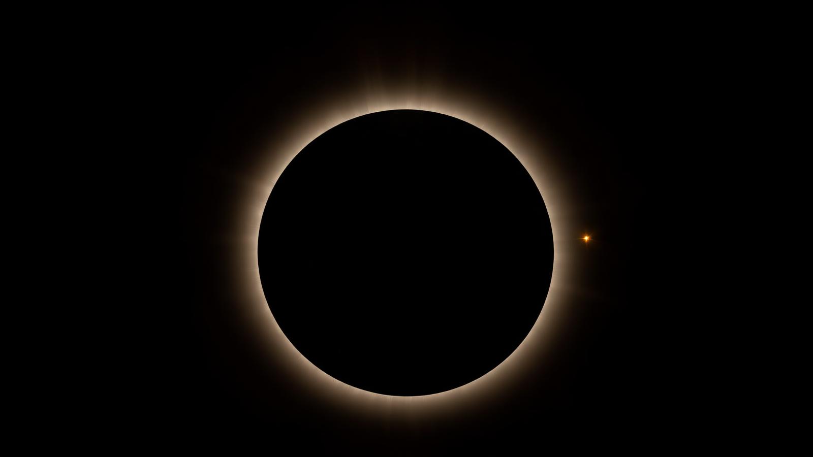 Close-up of the solar corona during a total eclipse, with pink prominences at the edge